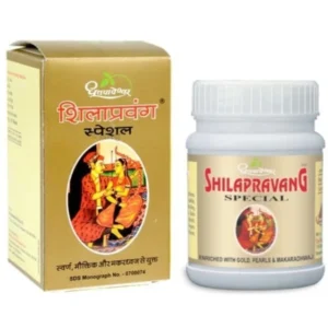 Dhootapapeshwar Shilapravang (Special) (30Tab)