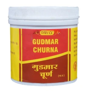 Vyas Gudmar Churna (100g)