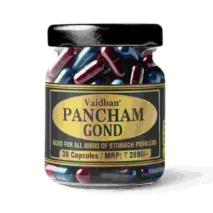 Vaidban Pancham Gond (30 Capsule)